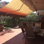 Garden Vivaldi