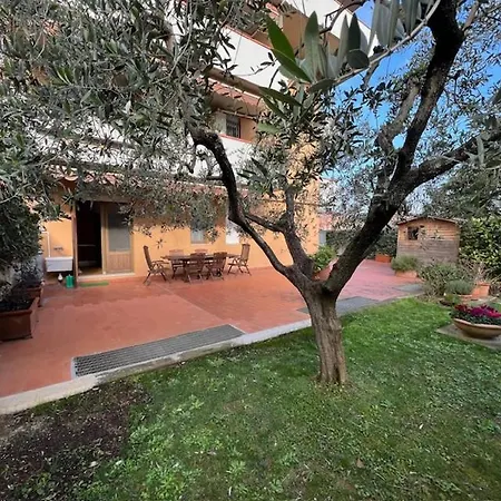 Garden Vivaldi Tatil Evi