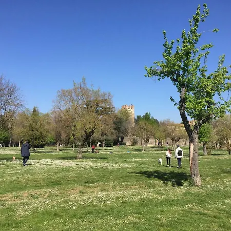 Garden Vivaldi Scandicci