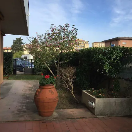 Garden Vivaldi